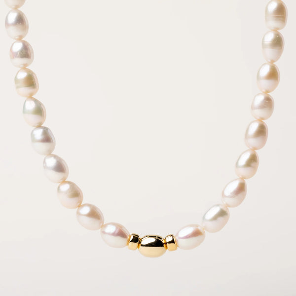 Collana Agorà Alisia