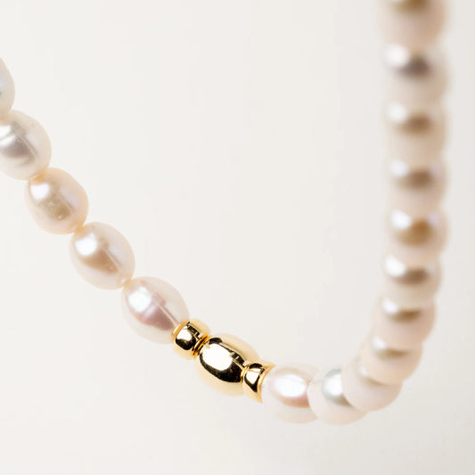 Collana Agorà Alisia