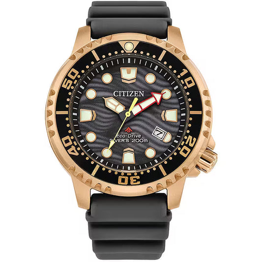 Orologio Diver's Eco Drive 200 mt Citizen